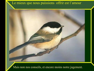 Le mieux que nous puissions offrir est l’amour




Mais non nos conseils, et encore moins notre jugement.
 