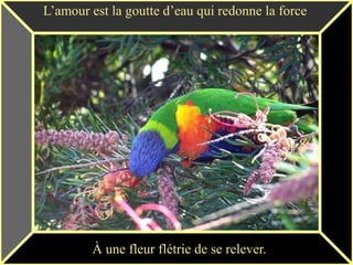 L’amour est la goutte d’eau qui redonne la force




        À une fleur flétrie de se relever.
 
