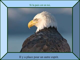 Si la paix est en toi,




Il y a place pour un autre esprit.
 