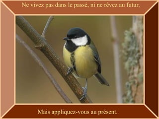 Ne vivez pas dans le passé, ni ne rêvez au futur,




      Mais appliquez-vous au présent.
 