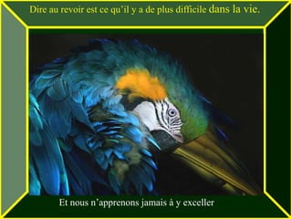 Dire au revoir est ce qu’il y a de plus difficile dans la vie.




       Et nous n’apprenons jamais à y exceller
 