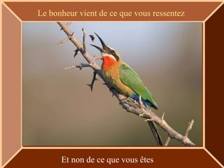 Le bonheur vient de ce que vous ressentez




      Et non de ce que vous êtes
 