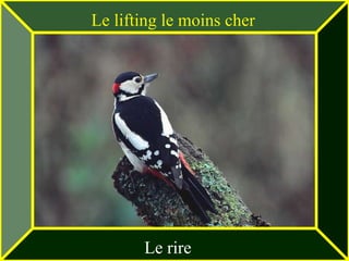 Le lifting le moins cher




       Le rire
 