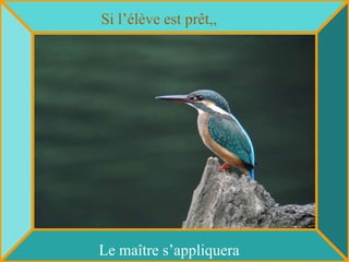 Si l’élève est prêt,,




Le maître s’appliquera
 