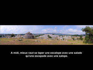 A midi, mieux vaut se taper une escalope avec une salade
qu'une escapade avec une salope.