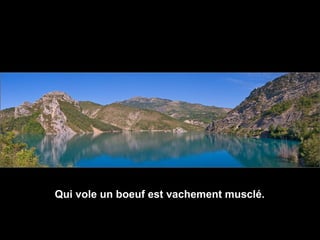 Qui vole un boeuf est vachement musclé.