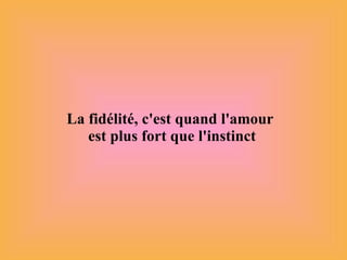 La fidélité, c'est quand l'amour  est plus fort que l'instinct 