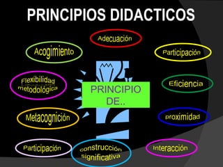 PRINCIPIO DE.. PRINCIPIOS DIDACTICOS  