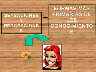 FORMAS MÁS
PRIMARIAS DE
LOS
CONOCIMIENTO
S
SENSACIONES
Y
PERCEPCIONE
S
 