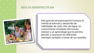 Esta guía de sensoprecepción humana se
orienta al estímulo y desarrollo de
habilidades de cada niño, de lograr un
conocimiento inmediato del mundo
exterior y un aprendizaje que le permita
percibir y reconocer los diferentes
mensajes recibidos a través de sus sentidos
.
 