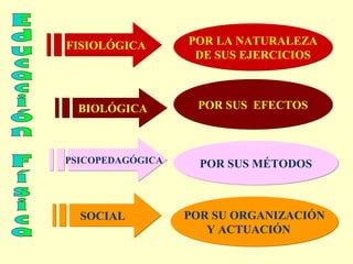 FISIOLÓGICA

POR LA NATURALEZA
DE SUS EJERCICIOS

BIOLÓGICA

POR SUS EFECTOS

PSICOPEDAGÓGICA

POR SUS MÉTODOS

SOCIAL

POR SU ORGANIZACIÓN
Y ACTUACIÓN

 