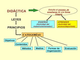 Estudia el proceso de
enseñanza de una forma
integral

DIDÁCTICA
LEYES
PRINCIPIOS

ENSEÑAR
(Actividad del
maestro/entrenador)

APRENDER
(Actividad del
alumno/deportista)

CATEGORÍAS
Objetivos
Contenidos
Métodos

Medios

Formas de
Organización

Evaluación

 