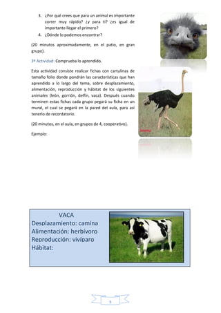 9
3. ¿Por qué crees que para un animal es importante
correr muy rápido? ¿y para ti? ¿es igual de
importante llegar el primero?
4. ¿Dónde lo podemos encontrar?
(20 minutos aproximadamente, en el patio, en gran
grupo).
3º Actividad: Comprueba lo aprendido.
Esta actividad consiste realizar fichas con cartulinas de
tamaño folio donde pondrán las características que han
aprendido a lo largo del tema, sobre desplazamiento,
alimentación, reproducción y hábitat de los siguientes
animales (león, gorrión, delfín, vaca). Después cuando
terminen estas fichas cada grupo pegará su ficha en un
mural, el cual se pegará en la pared del aula, para así
tenerlo de recordatorio.
(20 minutos, en el aula, en grupos de 4, cooperativo).
Ejemplo:
VACA
Desplazamiento: camina
Alimentación: herbívoro
Reproducción: vivíparo
Hábitat:
 