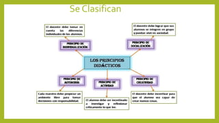 Se Clasifican
 
