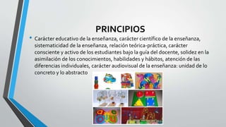 PRINCIPIOS
• Carácter educativo de la enseñanza, carácter científico de la enseñanza,
sistematicidad de la enseñanza, relación teórica-práctica, carácter
consciente y activo de los estudiantes bajo la guía del docente, solidez en la
asimilación de los conocimientos, habilidades y hábitos, atención de las
diferencias individuales, carácter audiovisual de la enseñanza: unidad de lo
concreto y lo abstracto
 