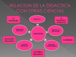 PEDAGOGIA
DIDACTICA
TEORIA DE LA
EDUCACION
TEORIA DEL
CONOCIMIENTO
FILOSOFIA
EDUCATIVA
PSICOLOGIA
EDUCATIVA
La
Economía y
el Derecho
Economía
Educativa
La
Andragogía
La Historia
La Política
Educativa
 