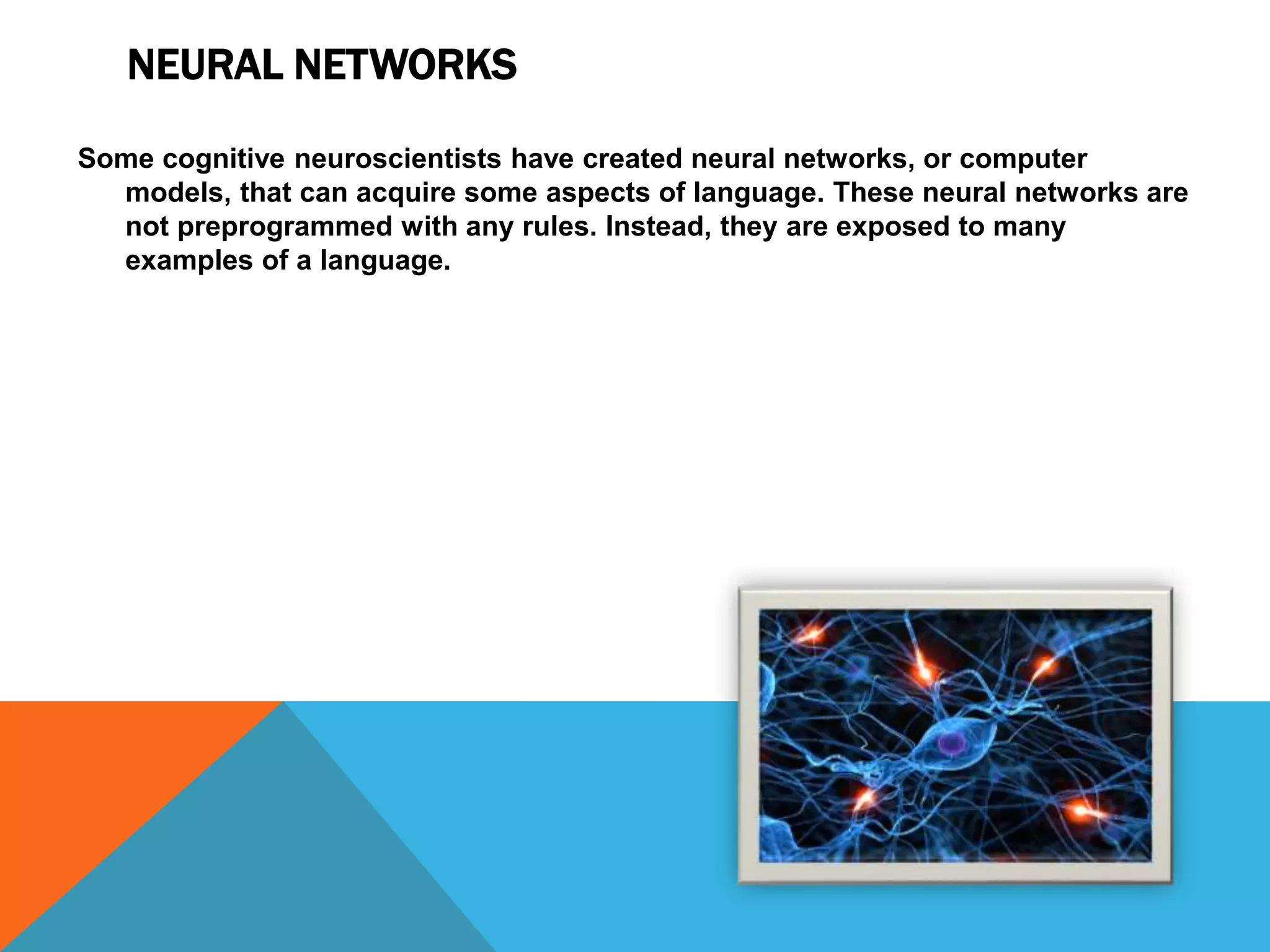 NEURAL NETWORKS
Some cognitive neuroscientists have created neural networks, or computer
models, that can acquire some aspects of language. These neural networks are
not preprogrammed with any rules. Instead, they are exposed to many
examples of a language.
 