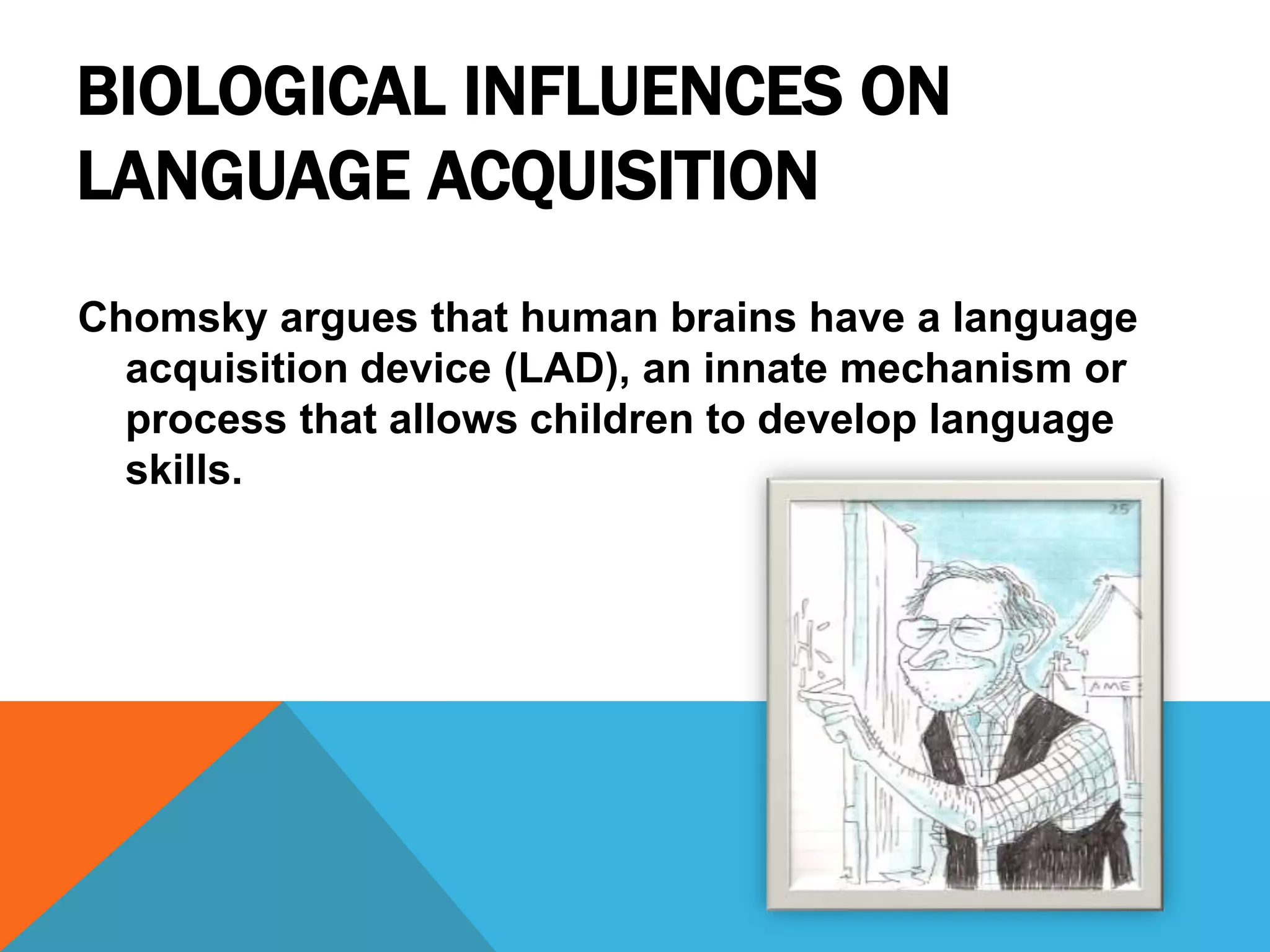 BIOLOGICAL INFLUENCES ON
LANGUAGE ACQUISITION
Chomsky argues that human brains have a language
acquisition device (LAD), an innate mechanism or
process that allows children to develop language
skills.
 