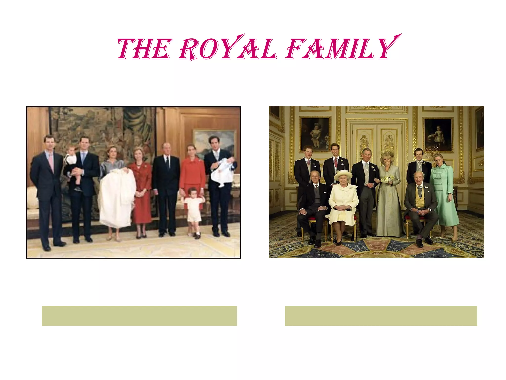 the Royal Family
 