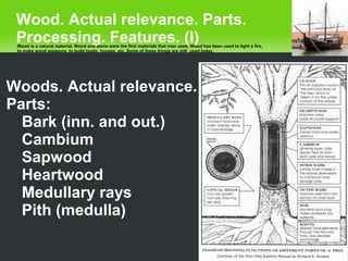    
Wood. Actual relevance. Parts.
Processing. Features. (I)
Woods. Actual relevance.
Parts:
Bark (inn. and out.)
Cambium
Sapwood
Heartwood
Medullary rays
Pith (medulla)
Wood is a natural material. Wood and stone were the first materials that man used. Wood has been used to light a fire,
to make wood weapons, to build boats, houses, etc. Some of these things are still used today.
 