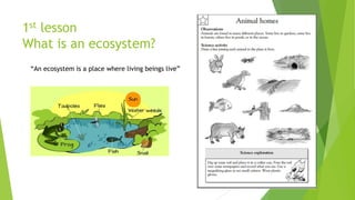 1st lesson
What is an ecosystem?
“An ecosystem is a place where living beings live”

 