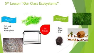 5th Lesson “Our Class Ecosystems”

“Grass land”

“Marine”
Fish tank
Sand
Water plants

Two
Groups

Grass
Wood
Soil

 