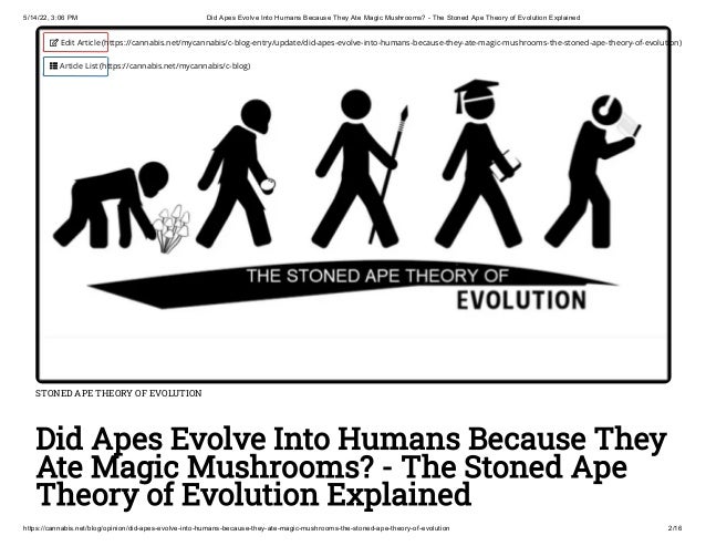 5/14/22, 3:06 PM Did Apes Evolve Into Humans Because They Ate Magic Mushrooms? - The Stoned Ape Theory of Evolution Explained
https://cannabis.net/blog/opinion/did-apes-evolve-into-humans-because-they-ate-magic-mushrooms-the-stoned-ape-theory-of-evolution 2/16
STONED APE THEORY OF EVOLUTION
Did Apes Evolve Into Humans Because They
Ate Magic Mushrooms? - The Stoned Ape
Theory of Evolution Explained
 Edit Article (https://cannabis.net/mycannabis/c-blog-entry/update/did-apes-evolve-into-humans-because-they-ate-magic-mushrooms-the-stoned-ape-theory-of-evolution)
 Article List (https://cannabis.net/mycannabis/c-blog)
 