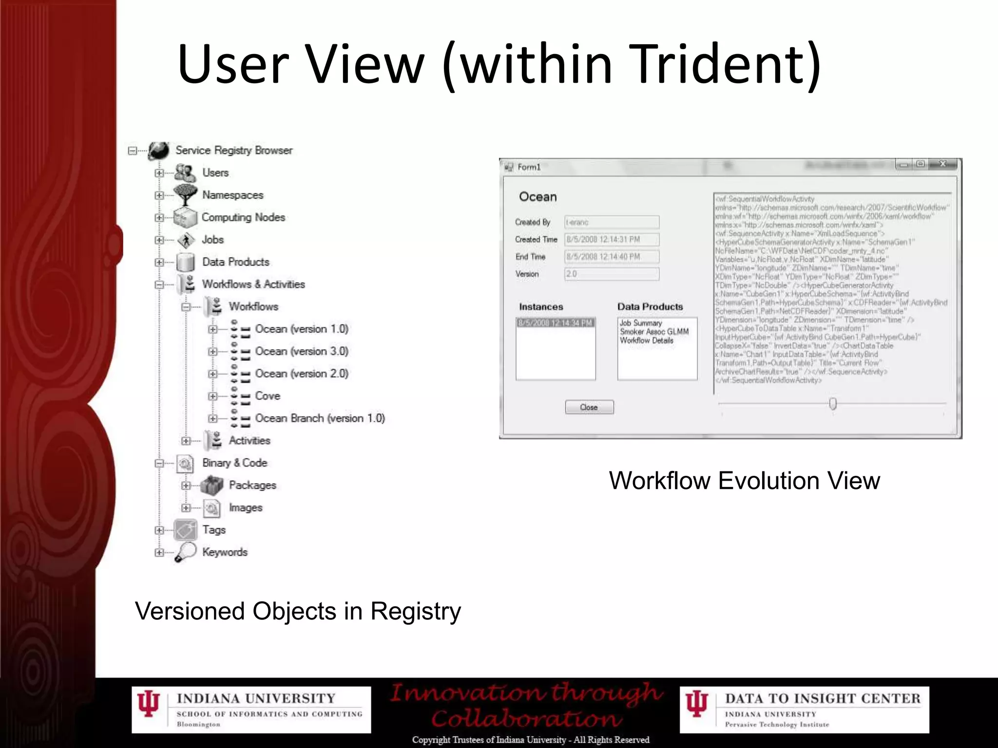 User View (within Trident)Workflow Evolution ViewVersioned Objects in Registry