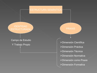 ESTRUCTURA SEMÁNTICA IDENTIDAD ESTRUCTURADA PRAXIS Dimensión Científica Dimensión Práctica Dimensión Técnica Dimensión Normativa Dimensión como Praxis Dimensión Formativa Campo de Estudio Y Trabajo Propio 