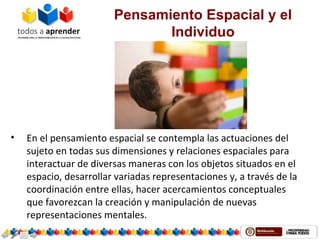 Pensamiento Espacial y el
Individuo
• En el pensamiento espacial se contempla las actuaciones del
sujeto en todas sus dimensiones y relaciones espaciales para
interactuar de diversas maneras con los objetos situados en el
espacio, desarrollar variadas representaciones y, a través de la
coordinación entre ellas, hacer acercamientos conceptuales
que favorezcan la creación y manipulación de nuevas
representaciones mentales.
 