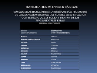 HABILIDADES MOTRICES BÁSICAS SON AQUELLAS HABILIDADES MOTRICES QUE SON PRODUCTOS DE UNA EXPRESION NATURAL DEL HOMBRE EN SU SITUACION CON EL MEDIO QUE LE RODEA Y DENTRO  DE LAS FUNDAMENTALES ESTAN: ESQUEMAS DE MOVIMIENTO BASICOS (SIN COMPLEMENTOS) COMPUESTOS (CON COMPLEMENTOS) RODAR EMPUJAR REPTAR O ARRASTRARSE MANIPULAR GATEAR HALAR TREPAR GOLPEAR CAMINAR LANZAR CORRER  ATRAPAR SALTAR TRANSPORTAR GIRAR DESVIAR PARARSE ELUDIR CAER INTERCEPTAR BALANCEAR LEVANTAR IMPULSARSE TRACCIONAR 