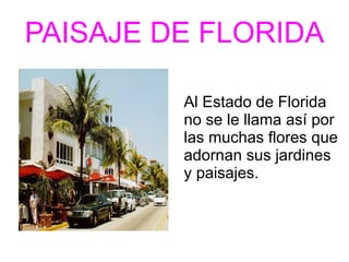 PAISAJE DE FLORIDA Al Estado de Florida no se le llama así por las muchas flores que adornan sus jardines y paisajes.  