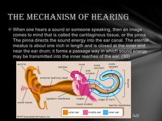 The Mechanism of Hearing
 When one hears a sound or someone speaking, then an image
  comes to mind that is called the cartilaginous tissue, or the pinna.
  The pinna directs the sound energy into the ear canal. The eternal
  meatus is about one inch in length and is closed at the inner end
  near the ear drum; it forms a passage way in which sound energy
  may be transmitted into the inner reaches of the ear. (30)




                                                              (45)
 