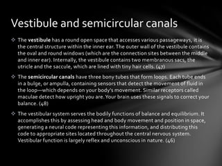 Vestibule and semicircular canals
 The vestibule has a round open space that accesses various passageways, it is
  the central structure within the inner ear. The outer wall of the vestibule contains
  the oval and round windows (which are the connection sites between the middle
  and inner ear). Internally, the vestibule contains two membranous sacs, the
  utricle and the saccule, which are lined with tiny hair cells. (47)
 The semicircular canals have three bony tubes that form loops. Each tube ends
  in a bulge, or ampulla, containing sensors that detect the movement of fluid in
  the loop—which depends on your body’s movement. Similar receptors called
  maculae detect how upright you are. Your brain uses these signals to correct your
  balance. (48)
 The vestibular system serves the bodily functions of balance and equilibrium. It
  accomplishes this by assessing head and body movement and position in space,
  generating a neural code representing this information, and distributing this
  code to appropriate sites located throughout the central nervous system.
  Vestibular function is largely reflex and unconscious in nature. (46)
 