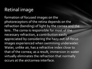 Retinal image
formation of focused images on the
photoreceptors of the retina depends on the
refraction (bending) of light by the cornea and the
lens . The corna is responsible for most of the
necessary refraction, a contribution easily
appreciated by considering the hazy out-of-focus
images experienced when swimming underwater.
Water, unlike air, has a refractive index close to
that of the cornea; as a result, immersion in water
virtually eliminates the refraction that normally
occurs at the air/cornea interface.
 