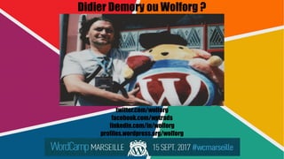Didier Demory ou Wolforg ?
twitter.com/wolforg
facebook.com/wptrads
linkedin.com/in/wolforg
profiles.wordpress.org/wolforg
 