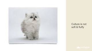 Culture is not
soft & fluffy
 