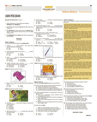 Bh Didik Upsr 2010 Keselamatan Basikal