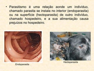 • Parasitismo é uma relação aonde um indivíduo,
chamado parasita se instala no interior (endoparasita)
ou na superfície (hectoparasita) de outro indivíduo,
chamado hospedeiro, e a sua alimentação causa
prejuízos no hospedeiro.
Endoparasita
Hectoparasita
 