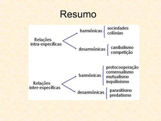 Resumo
 