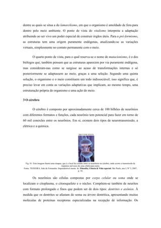 dentre as quais se situa a do lamarckismo, em que o organismo é amoldado de fora para
dentro pelo meio ambiente. O ponto de vista do vitalismo interpreta a adaptação
atribuindo ao ser vivo um poder especial de construir órgãos úteis. Para o pré-formismo,
as estruturas tem uma origem puramente endógenas, atualizando-se as variações
virtuais, simplesmente no contato permanente com o meio.
O quarto ponto de vista, para o qual reserva-se o nome de mutacionismo, é o dos
biólogos que, também pensam que as estruturas aparecem por via puramente endógena,
mas consideram-nas como se surgisse ao acaso de transformações internas e só
posteriormente se adaptassem ao meio, graças a uma seleção. Segundo uma quinta
solução, o organismo e o meio constituem um todo indissociável; isso significa que, é
preciso levar em conta as variações adaptativas que implicam, ao mesmo tempo, uma
estruturação própria do organismo e uma ação do meio.
3 O cérebro
O cérebro é composto por aproximadamente cerca de 100 bilhões de neurônios
com diferentes formatos e funções, cada neurônio tem potencial para fazer em torno de
60 mil conexões entre os neurônios. Em si, existem dois tipos de neurotransmissão, a
elétrica e a química.
SHUTTER STOCK
Fig. 01: Esta imagem ilustra uma sinapse, que é o local de contato entre os neurônios no cérebro, onde ocorre a transmissão de
impulsos nervosos de uma célula para outra.
Fonte: TEIXEIRA, João de Fernandes. Imponderável mente. In. Filosofia, Ciência & Vida especial. São Paulo, ano I, Nº 3, 2007,
p. 54.
Os neurônios são células compostas por corpo celular ou soma onde se
localizam o citoplasma, o citoesqueleto e o núcleo. Compõem-se também de neuritos
com formato prolongado e finos que podem ser de dois tipos: dentrites e axônios. À
medida que os dentrites se afastam do soma ou árvore dentrítica, apresentando muitas
moléculas de proteínas receptoras especializadas na recepção de informação. Os
 