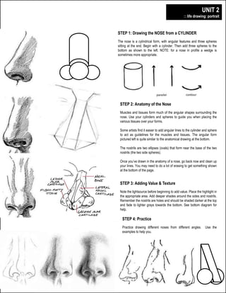 digital illustration + design 
plainfield central – mr. lawler art + design 
UNIT 2 
:: life drawing: portrait 
STEP 1: Drawing the NOSE from a CYLINDER 
The nose is a cylindrical form, with angular features and three spheres 
sitting at the end. Begin with a cylinder. Then add three spheres to the 
bottom as shown to the left. NOTE: for a nose in profile a wedge is 
sometimes more appropriate. 
STEP 2: Anatomy of the Nose 
Muscles and tissues form much of the angular shapes surrounding the 
nose. Use your cylinders and spheres to guide you when placing the 
various tissues over your forms. 
Some artists find it easier to add angular lines to the cylinder and sphere 
to act as guidelines for the muscles and tissues. The angular form 
pictured left is quite similar to the anatomical drawing at the bottom. 
The nostrils are two ellipses (ovals) that form near the base of the two 
nostrils (the two side spheres). 
Once you’ve drawn in the anatomy of a nose, go back now and clean up 
your lines. You may need to do a lot of erasing to get something shown 
at the bottom of the page. 
STEP 3: Adding Value & Texture 
Note the lightsource before beginning to add value. Place the highlight in 
the appropriate area. Add deeper shades around the sides and nostrils. 
Remember the nostrils are holes and should be shaded darker at the top 
and fade to lighter grays towards the bottom. See bottom diagram for 
help. 
STEP 4: Practice 
Practice drawing different noses from different angles. Use the 
examples to help you. 
z 
 