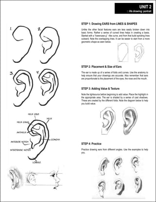 digital illustration + design 
plainfield central – mr. lawler art + design 
UNIT 2 
:: life drawing: portrait 
STEP 1: Drawing EARS from LINES & SHAPES 
Unlike the other facial features ears are less easily broken down into 
basic forms. Rather a series of curved lines helps in creating a basis. 
Started with a “lowercase g” –like curve, and from that build spiraling lines 
outward. Note the overlapping lines. It can be easier to start from a more 
geometric shape as seen below. 
STEP 2: Placement & Size of Ears 
The ear is made up of a series of folds and curves. Use the anatomy to 
help ensure that your drawings are accurate. Also remember that ears 
are proportionate to the placement of the eyes, the nose and the mouth. 
STEP 3: Adding Value & Texture 
Note the lightsource before beginning to add value. Place the highlight in 
the appropriate area. The ear is shaded by a series of cast shadows. 
These are created by the different folds. Note the diagram below to help 
you build value. 
STEP 4: Practice 
Practice drawing ears from different angles. Use the examples to help 
you. 
 