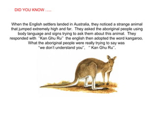 SABIAS QUE…
When the English settlers landed in Australia, they noticed a strange animal
that jumped extremely high and far. They asked the aboriginal people using
body language and signs trying to ask them about this animal. They
responded with ’’Kan Ghu Ru’’ the english then adopted the word kangaroo.
What the aboriginal people were really trying to say was
‘’we don’t understand you’’, ‘’ Kan Ghu Ru’’.
DID YOU KNOW …..
 