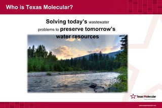 Who is Texas Molecular? ,[object Object],[object Object],[object Object],www.texasmolecular.com 