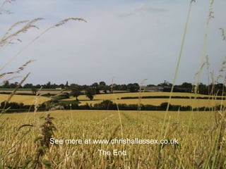 The End
See more at www.chrishallessex.co.uk
 