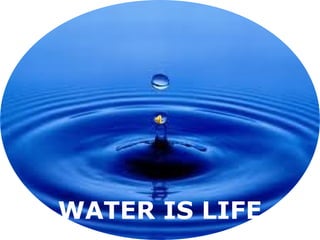 WATER IS LIFE
 