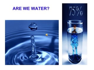 ARE WE WATER?
 