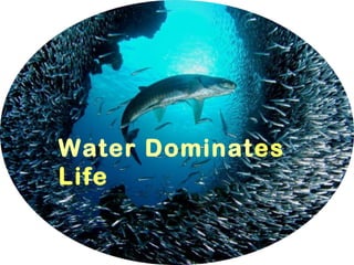 Water Dominates
Life
 