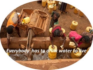 Everybody has to drink water to live
 